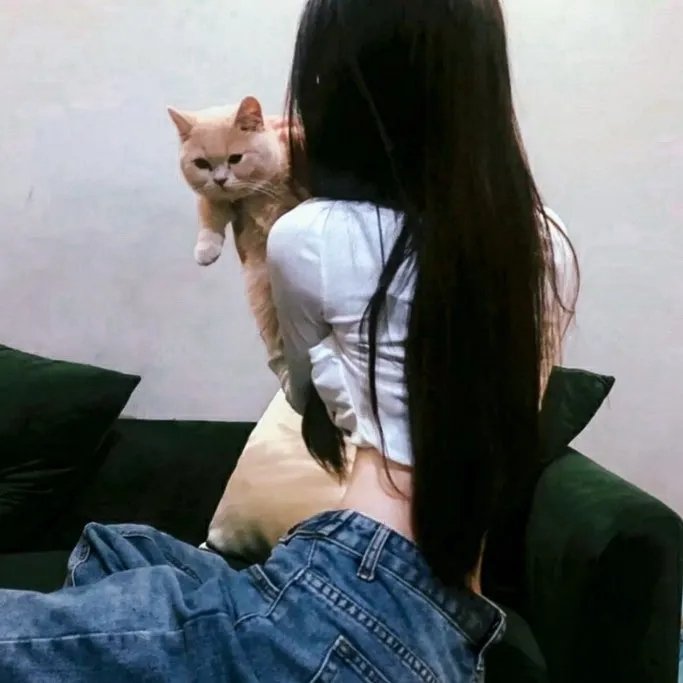 少年泰坦出击第七季