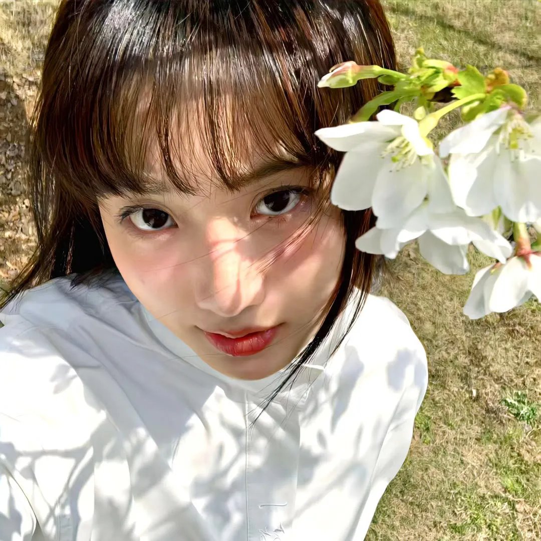 女王蜂游戏
